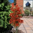 thumbnail image 1 of Artificial Topiary Trees Verdsylv Fall Artificial Plants Topiary Trees - Set of 2 Faux Shrubs with 17-Inch Bushes And Autumn Leaves" for Outdoor Porch Garden Decor, Faux Shrubs with Ground Stake, A, 1 of 6