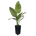 thumbnail image 1 of Artificial Traveler's Palm, 5FT, 1 or 2 plants, with black flower pots. Suitable for indoor and outdoor placement, such as offices, gardens and other spaces for decoration., 1 of 6