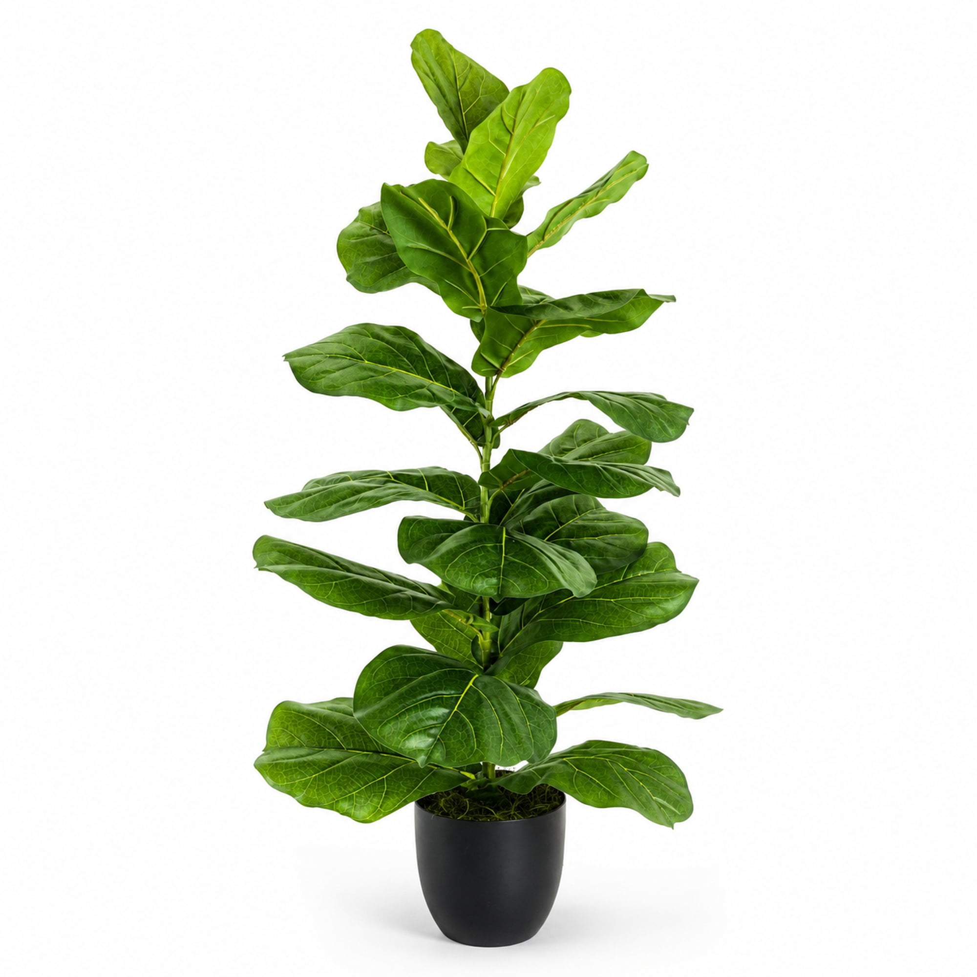 Artificial Tree, 5ft Faux Designer Fiddle Leaf Fig Tree in Black Nursery Pot by LCG Florals, Fake Indoor Tree for Living Room, Office, and Home Décor