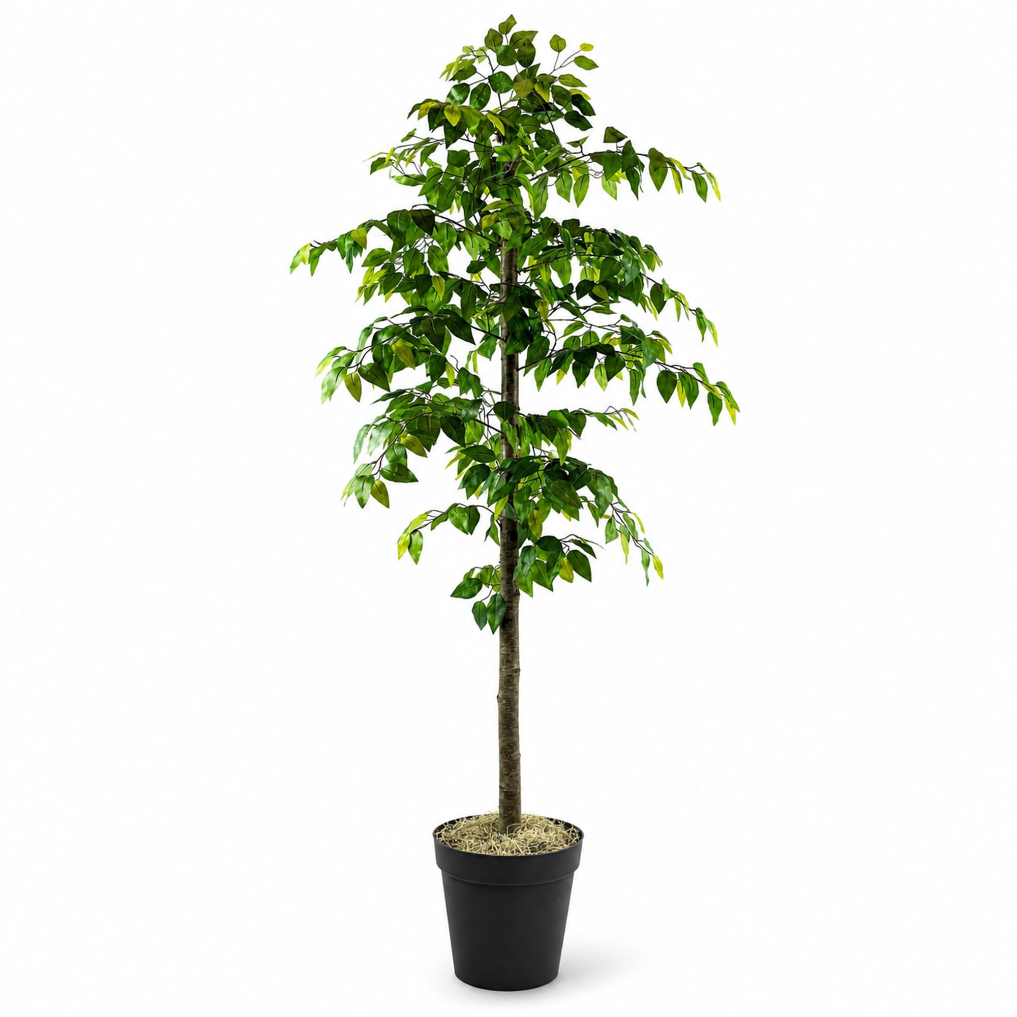 Artificial Tree, 6ft Faux Designer Ficus Tree in Black Nursery Pot by LCG Florals, Indoor Tree for Living Room, Office, and Home Décor