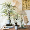 thumbnail image 1 of Artificial Tree Boston Fern, 1 of 4