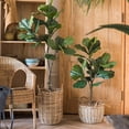 thumbnail image 1 of Artificial Tree Fiddle Leaf Tree, 1 of 14