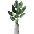 thumbnail image 1 of Artificial Tree in Gray Marble Effect Planter, Fake Bird of Paradise Silk Tree for Indoor and Outdoor Home Decoration - 58" Overall Tall (Plant Pot Plus Tree), 1 of 5