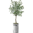 thumbnail image 1 of Artificial Tree in Gray Marble Effect Planter, Fake Eucalyptus Silk Tree for Indoor and Outdoor Home Decoration - 57" Overall Tall (Plant Pot Plus Tree), 1 of 5