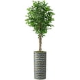 thumbnail image 1 of Artificial Tree in Modern Geometric Pattern Planter, Fake Ficus Silk Tree for Indoor and Outdoor Home Decoration - 75" Overall Tall (Plant Pot Plus Tree), 1 of 5