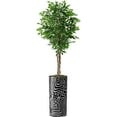 thumbnail image 1 of Artificial Tree in Modern Geometric Pattern Planter, Fake Ficus Silk Tree for Indoor and Outdoor Home Decoration - 75" Overall Tall (Plant Pot Plus Tree), 1 of 5