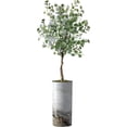 thumbnail image 1 of Artificial Tree in Modern Granite Effect Planter, Fake Eucalyptus Silk Tree for Indoor and Outdoor Home Decoration - 66" Overall Tall (Plant Pot Plus Tree), 1 of 5