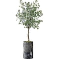 thumbnail image 1 of Artificial Tree in Modern Granite Effect Planter, Fake Eucalyptus Silk Tree for Indoor and Outdoor Home Decoration - 57" Overall Tall (Plant Pot Plus Tree), 1 of 5