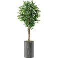 thumbnail image 1 of Artificial Tree in Modern Granite Effect Planter, Fake Ficus Silk Tree for Indoor and Outdoor Home Decoration - 66" Overall Tall (Plant Pot Plus Tree), 1 of 5