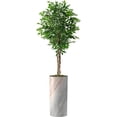 thumbnail image 1 of Artificial Tree in Modern Granite Effect Planter, Fake Ficus Silk Tree for Indoor and Outdoor Home Decoration - 75" Overall Tall (Plant Pot Plus Tree), 1 of 5