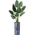 thumbnail image 1 of Artificial Tree in Modern Pattern Planter, Fake Bird of Paradise Silk Tree for Indoor and Outdoor Home Decoration - 67" Overall Tall (Plant Pot Plus Tree), 1 of 5