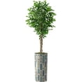 thumbnail image 1 of Artificial Tree in Modern Polygon Pattern Effect Planter, Fake Ficus Silk Tree for Indoor and Outdoor Home Decoration - 75" Overall Tall (Plant Pot Plus Tree), 1 of 4