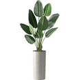 thumbnail image 1 of Artificial Tree in Modern Swirl Pattern Planter, Fake Bird of Paradise Silk Tree for Indoor and Outdoor Home Decoration - 67" Overall Tall (Plant Pot Plus Tree), 1 of 5