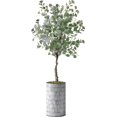 thumbnail image 1 of Artificial Tree in Modern Triangel Pattern Planter, Fake Eucalyptus Silk Tree for Indoor and Outdoor Home Decoration - 57" Overall Tall (Plant Pot Plus Tree), 1 of 5