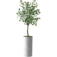thumbnail image 1 of Artificial Tree in White Marble Effect Planter, Fake Eucalyptus Silk Tree for Indoor and Outdoor Home Decoration - 66" Overall Tall (Plant Pot Plus Tree), 1 of 5