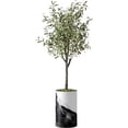 thumbnail image 1 of Artificial Tree in Contemporary Planter, Fake Olive Silk Tree for Indoor and Outdoor Home Decoration - 60" Overall Tall (Plant Pot Plus Tree), 1 of 5
