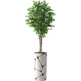 thumbnail image 1 of Artificial Tree in Geometric Pattern Planter, Fake Ficus Silk Tree for Indoor and Outdoor Home Decoration - 75" Overall Tall (Plant Pot Plus Tree), 1 of 5