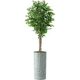 thumbnail image 1 of Artificial Tree in Geometric Pattern Planter, Fake Ficus Silk Tree for Indoor and Outdoor Home Decoration - 75" Overall Tall (Plant Pot Plus Tree), 1 of 5