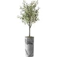 thumbnail image 1 of Artificial Tree in Gray Marble Effect Planter, Fake Olive Silk Tree for Indoor and Outdoor Home Decoration - 68" Overall Tall (Plant Pot Plus Tree), 1 of 5