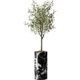 thumbnail image 1 of Artificial Tree in Modern Marble Effect Planter, Fake Olive Silk Tree for Indoor and Outdoor Home Decoration - 68" Overall Tall (Plant Pot Plus Tree), 1 of 5
