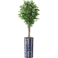 thumbnail image 1 of Artificial Tree in Modern Pattern Planter, Fake Ficus Silk Tree for Indoor and Outdoor Home Decoration - 75" Overall Tall (Plant Pot Plus Tree), 1 of 5