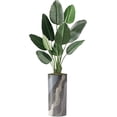 thumbnail image 1 of Artificial Tree in Modern Planter, Fake Bird of Paradise Silk Tree for Indoor and Outdoor Home Decoration - 67" Overall Tall (Plant Pot Plus Tree), 1 of 4