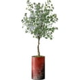 thumbnail image 1 of Artificial Tree in Modern Planter, Fake Eucalyptus Silk Tree for Indoor and Outdoor Home Decoration - 57" Overall Tall (Plant Pot Plus Tree), 1 of 5