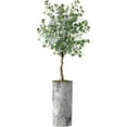 thumbnail image 1 of Artificial Tree in Modern Planter, Fake Eucalyptus Silk Tree for Indoor and Outdoor Home Decoration - 66" Overall Tall (Plant Pot Plus Tree), 1 of 4