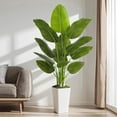 thumbnail image 1 of Realistic 5ft Artificial Bird of Paradise Plant, Synthetic Banana Leaf Tree with Textured Wavy White Pot for Home Decor, Perfect Silk Floor Plant, 1 of 6