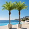 thumbnail image 1 of 7ft Artificial Phoenix Palm Tree, Faux Coconut Silk Tropical Fake Palm Plant for Indoor Outdoor Home Office Patio Bathroom Pool Coastal Decor(Set of 2), 1 of 9