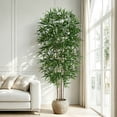 thumbnail image 1 of Artificial Bamboo Tree, Fake Bamboo Plant 6FT Tall with 6 Natural Real Bamboo Trunks, Artificial Tree Indoor Decor Faux Silk Tree for Home Office Living Room Modern Decor, 1 of 10
