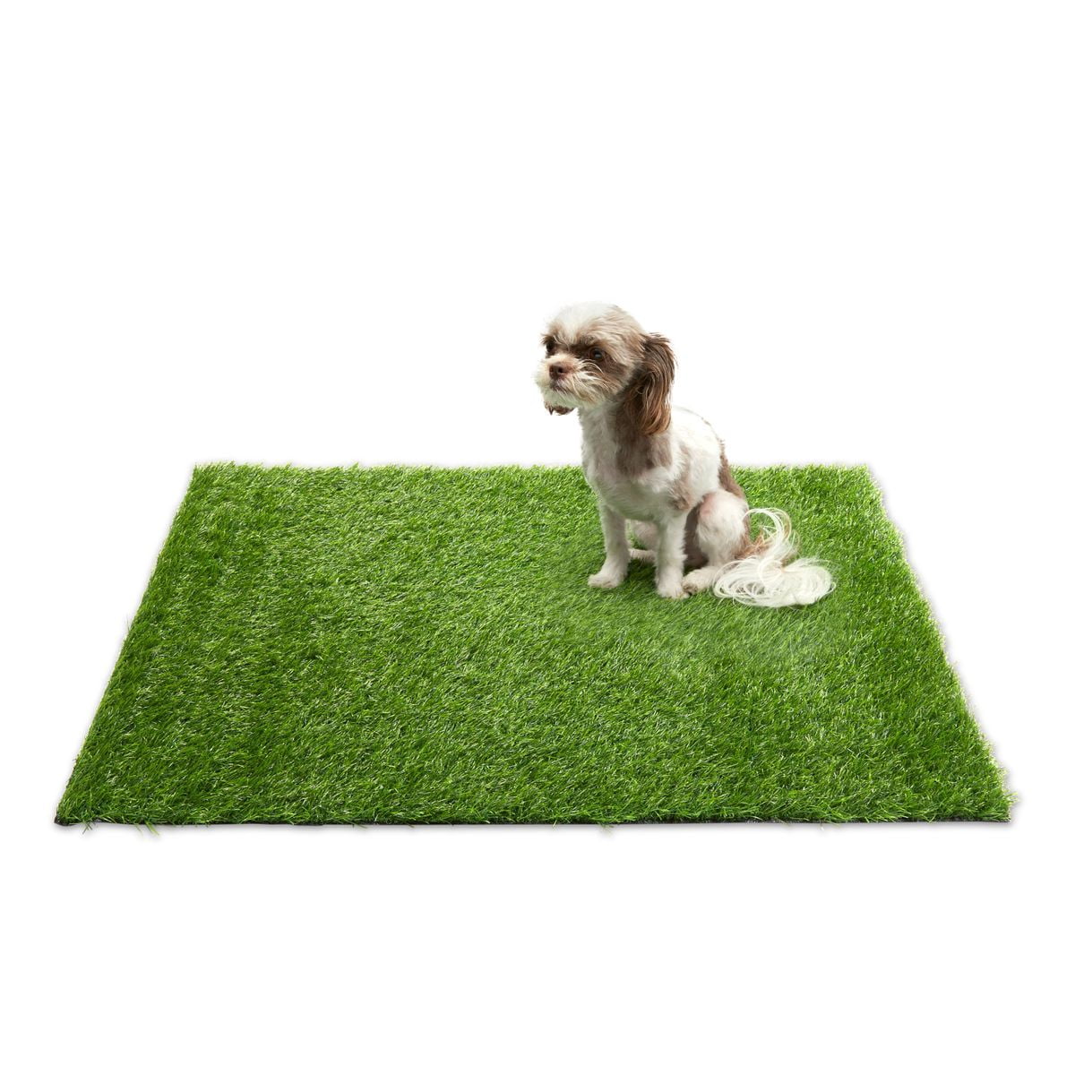 Artificial Turf for Dogs and Puppy Potty Training with Drain Holes Faux Grass Mat for Crafts Indoor and Outdoor Decor Green Turf Rug for Doormat Under Bench Shoe Storage 28 x 40