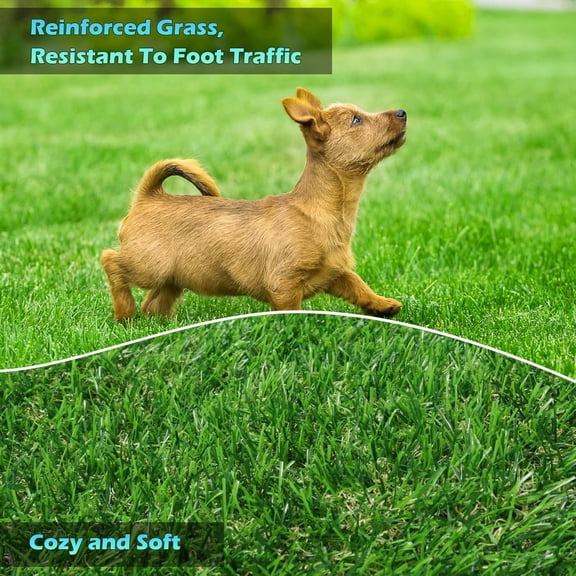 Artificial Turf Grass 4 FT 10 in X 8 FT, Fake Grass Rug Realistic Grass Carpet 0.8" Pile Outdoor Indoor, Synthetic Mat with Drainage for Dogs, , Backyard, Balcony, Custom Size