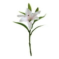 thumbnail image 1 of Artificial Two-Head Rose Flower Stem, Realistic Bud And Bloom Decoration for Wedding Or Home Use by Vinoic, 1 of 1