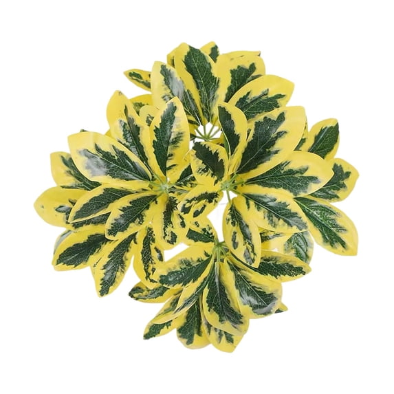 Artificial Variegated Leaf Plants, Faux Croton Leaves Stems, UV Resistant Artificial Foliage, Tropical Plant Leaves for Home Wedding Outdoor Decor
