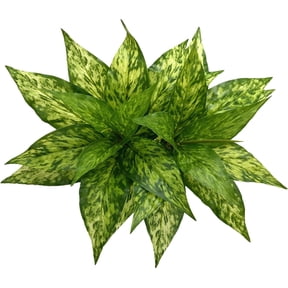 Artificial agave plants, artificial shrubs, grass, plastic flowers, suitable for wedding parties, offices, indoor and outdoor , patios, gardens, greenery, decorative flower pots, fillers,
