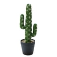 thumbnail image 1 of Artificial artificial flower tropical cactus bonsai creative decoration home decoration potted plants - type:style1;, 1 of 5