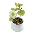 thumbnail image 1 of Artificial flower decoration small potted plastic bonsai coffee table desk, 1 of 10