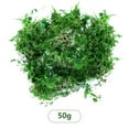 thumbnail image 1 of Artificial flowers,Fake Moss Artificial Moss For Potted Plants Greenery Moss Home Decor Fairy Garden Crafts Wedding Decoration Fresh Green, 1 of 8