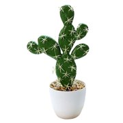 Artificial tropical plant simulation cactus bonsai artificial simulation potted plant