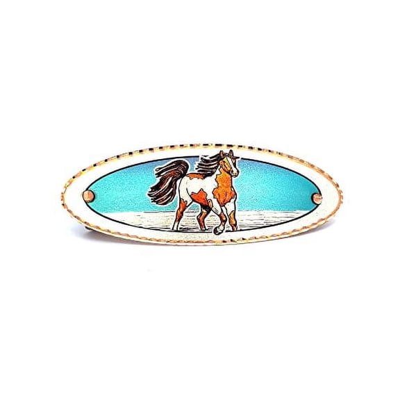 Artisan-Crafted No Slip Hairclips: Featuring unique designs such as horses, feathers, sugar skulls, hummingbirds, dragonflies, Kokopelli, irises, sunflowers, The Kiss, and Danae (HaidaTotem)