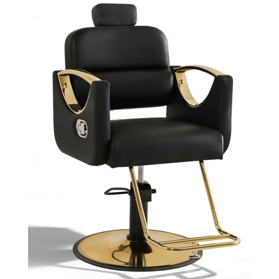 Artist Hand Reclining All Purpose Hydraulic Barber Chair Heavy Duty Hair Stylist Salon Spa Beauty Equipment(Black+Gold)