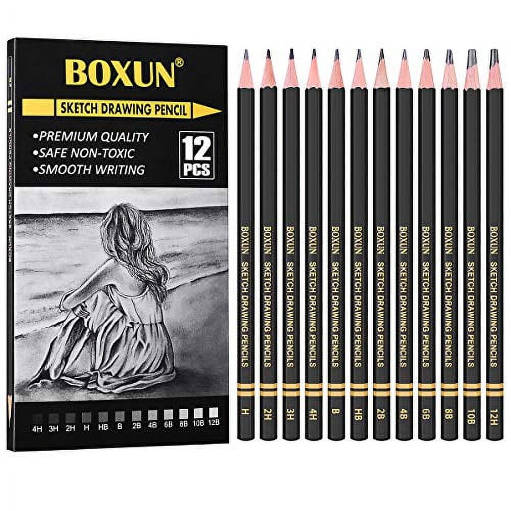 Professional Charcoal Pencils Drawing Set – 12 Pieces Soft Medium