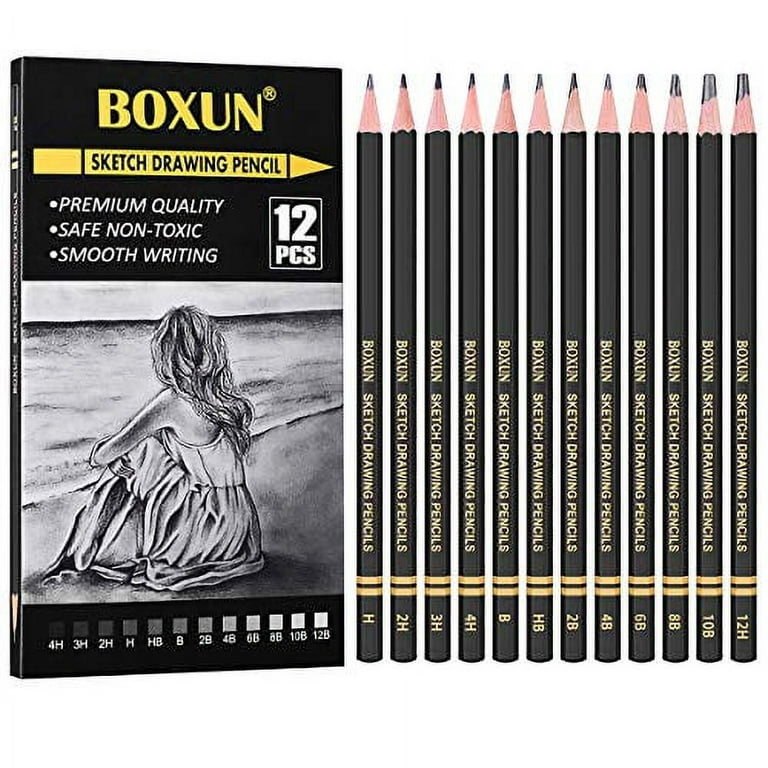 H & B 12 PCS Pencil Drawing Kit, H-4H, F, HB, B-6B Graphite and Charcoal  Sketch Pencil Set for Beginners, Professional Artists