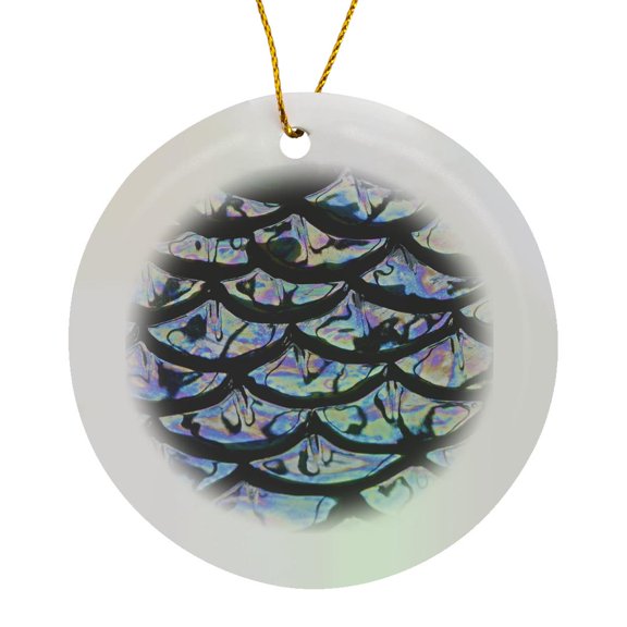 3drose, Artistic Abstract, Pattern in Ceramic Dish, Florida - Us10 Aje0188 - Adam Jones, Circle Porcelain Ornament