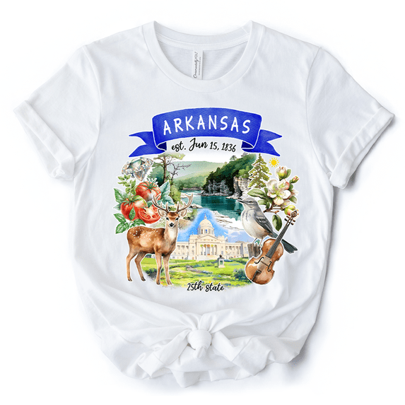 Artistic Arkansas State Themes and Landmarks T-Shirt, Tee for History and Travel Lovers