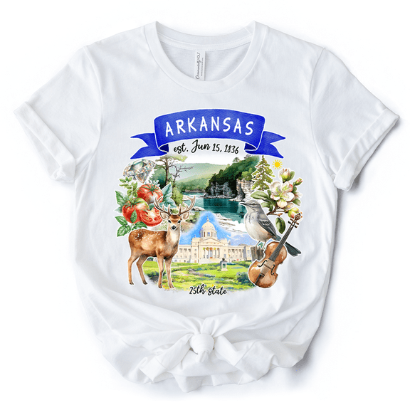 Artistic Arkansas State Themes and Landmarks T-Shirt, Tee for History and Travel Lovers