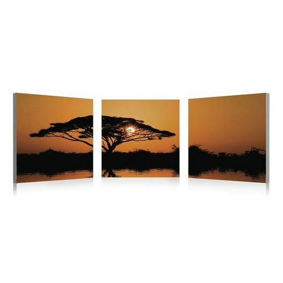 Artistic Bliss Serengeti 3 Piece Framed Photographic Print Set