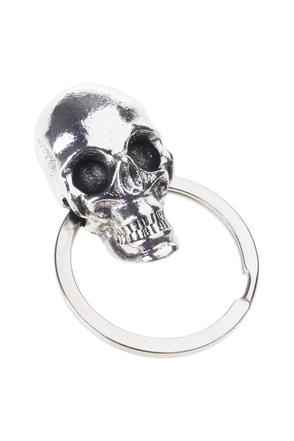 Artistic Devil Skull Key Creative Devil Skull Key Unique Keychain Designs Decorative Key for Trend Car & Bike Owners
