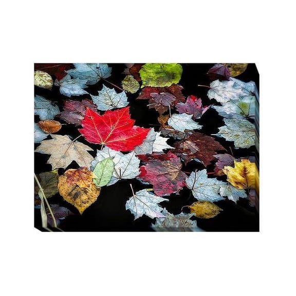 Artistic Home Gallery 1216L5695IG Autumn Leaves by David W. Pollard Premium Gallery-Wrapped Canvas Giclee Art - 12 x 16 x 1.5 in.